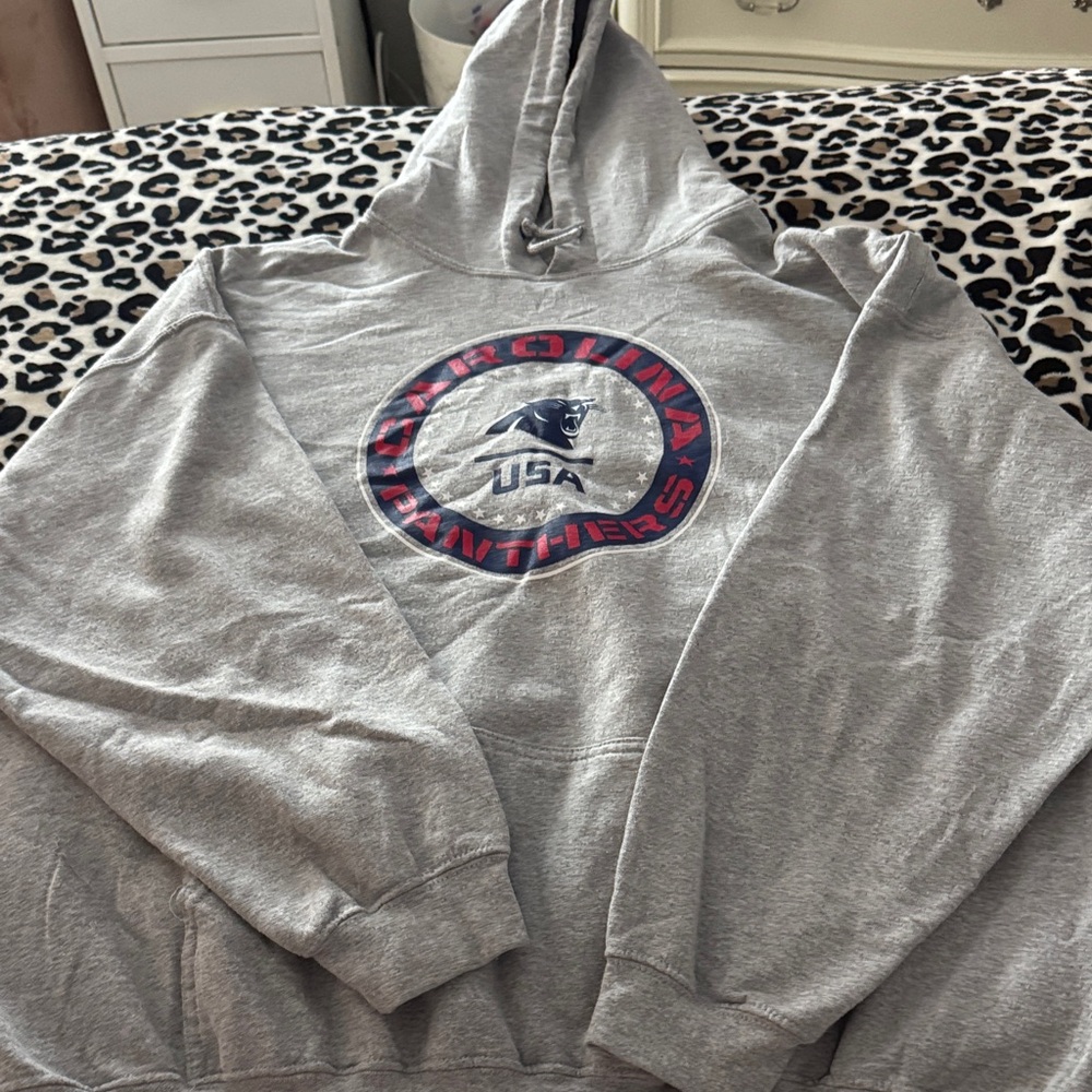 Carolina Panthers Gray Hoodie